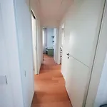 Guerinis House